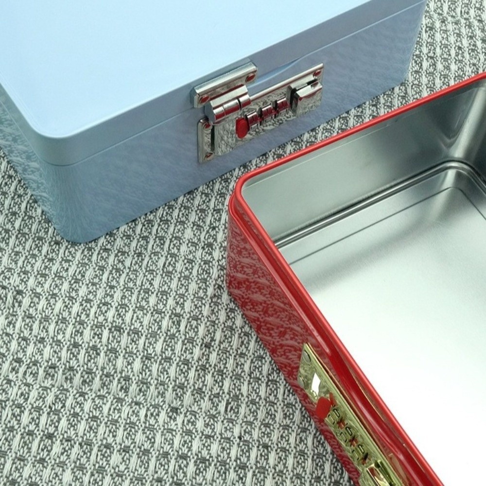 Medicine Cabinet Lock - Cassetta di Sicurezza con Serratura a