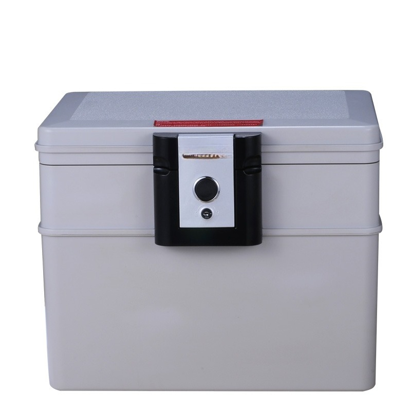 Fire Safe Document - Sicurezza antincendio per riporre prodotti digitali