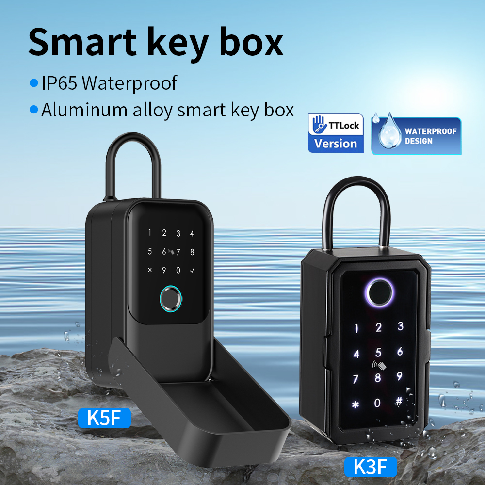 Tuya Smart Life App o TTLock A - Lockbox Key Secure recensione e prezzo