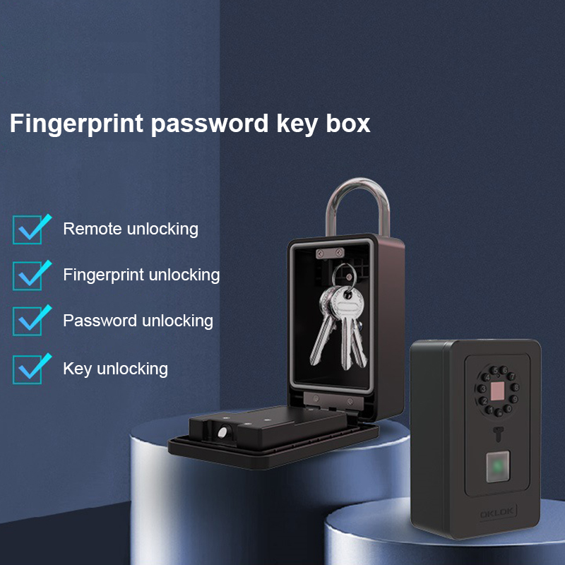 Cassetta di Sicurezza Intellig - Lockbox Key Secure recensione e prezzo
