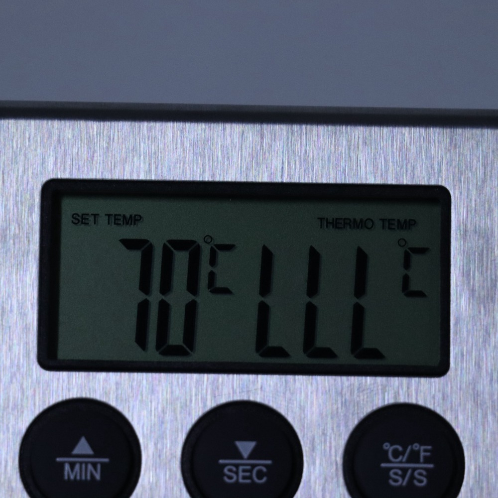 Termometro Digitale per Carne  - Pool Alarm Float recensione e prezzo